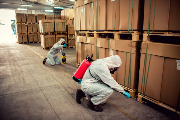 Best Mosquito Control Services  in Washington, IA