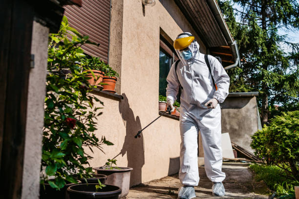 Reliable Washington, IA Pest Control Solutions