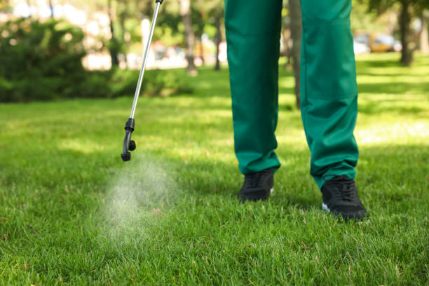 Best Ant Control Services  in Washington, IA