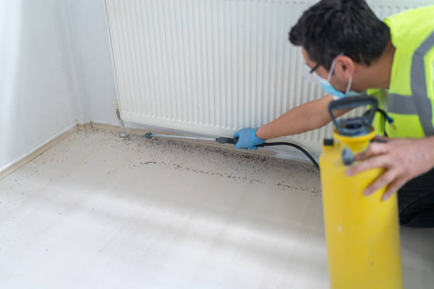 Best Residential Pest Control  in Washington, IA
