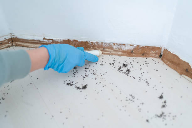 Best Exterminator Services  in Washington, IA